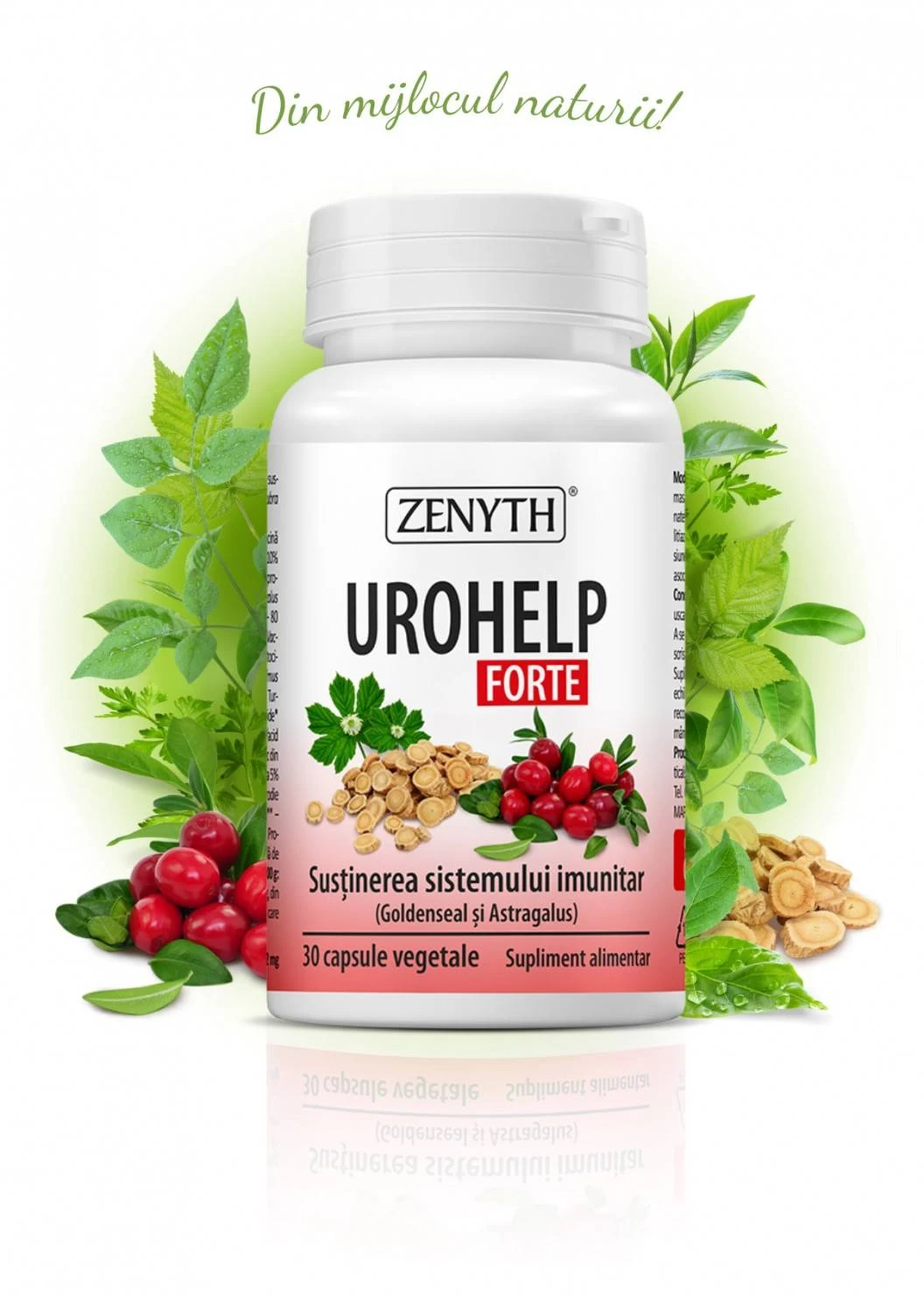Zenyth Pharmaceuticals Urohelp forte, 30cps - zenyth