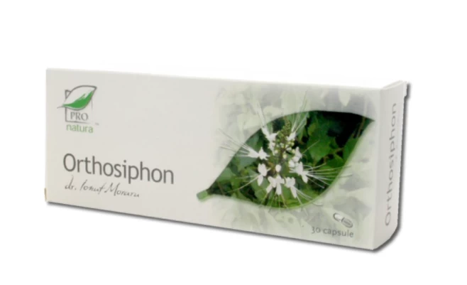 Orthosiphon, 200cps, 60cps si 30cps - MEDICA 30 capsule