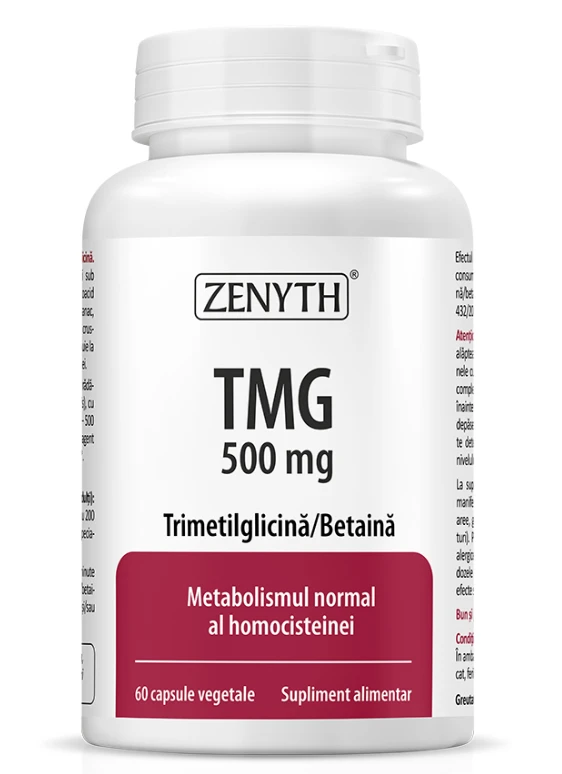Tmg - trimetilglicina, betaina - 60cps - zenyth