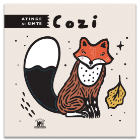 Atinge si simte - Cozi - Carte - Editura DPH