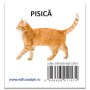 Animale domestice - Carti pliate - Editura DPH