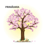Anotimpurile - carti pliate - Editura DPH