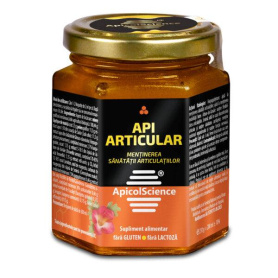 Api Articular, sustine sanatatea articulatiilor, 200 ml - DVR Pharm