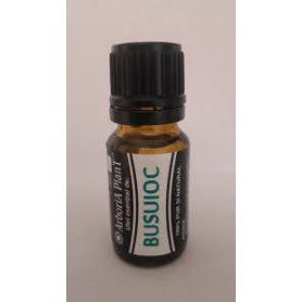 Ulei esential de Busuioc, 10 ml, Arboria Plant