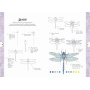 Desen in 10 pasi. Natura - Carte - Editura DPH
