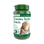 Coama leului forte, 60 capsule, Medica - ProNatura