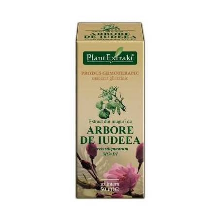 ARBORE DE IUDEEA - Extract din muguri de - Cercis siliquastrum MG=D1 - 50ml - PlantExtrakt