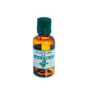 Tinctura de Urzica, 30 ml, Pontica Elidor