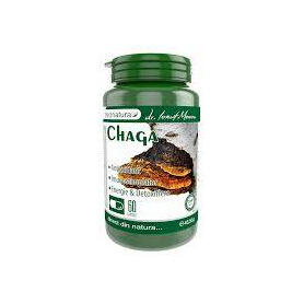 Chaga, 60 capsule, Medica - ProNatura