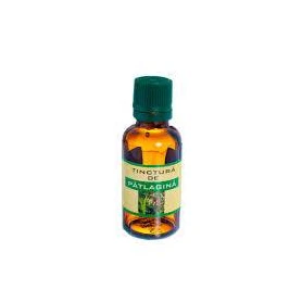 Tinctura de Paltagina, 30 ml, Elidor