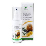 Spray Kombucha & Arnica & Tataneasa, 200 ml, Medica - ProNatura