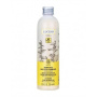 Sampon pentru par uscat, degradat, 250 ml, Lucens Umbria
