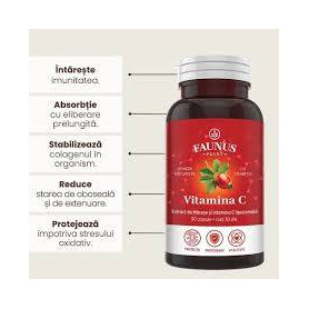 Vitamina C Lipozomala cu Macese, 90 capsule, Faunus Plant