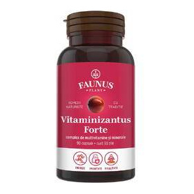 Vitaminizantus Forte, Complex de Multivitamine si Minerale, 90 capsule, Faunus Plant