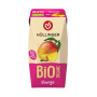 Suc de mango cu pai, eco-bio, 200 ml, Hollinger