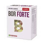 Bor Forte, 30 capsule, Quantum Parapharm