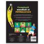 Campionii mondiali ai fotbalului - Carte cu abtibilduri - Editura DPH
