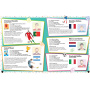 Campionii mondiali ai fotbalului - Carte cu abtibilduri - Editura DPH