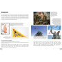 Steagurile lumii - Carte - Editura DPH