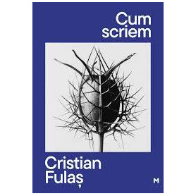Cum scriem, Cristian Fulas - Carte - Curtea Veche