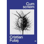 Cum scriem, Cristian Fulas - Carte - Curtea Veche