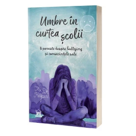 Umbre in curtea scolii - Carte - Editura DPH