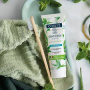 Pasta de dinti pentru eliminarea placii bacteriene, cu aloe vera si mentol, 100 g, Coslys