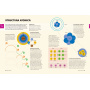 Tabelul periodic. Un ghid vizual al elementelor chimice - Carte - Editura DPH