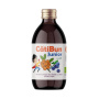 Nectar de catina cu afine, eco-bio, 250 ml, CatiBun Junior