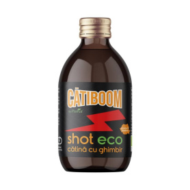 Shot de catina cu ghimbir, eco-bio, 100 ml, CatiBoom