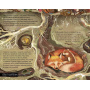 Pas cu pas prin padure - Carte - Editura DPH