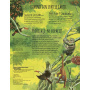 Pas cu pas prin padure - Carte - Editura DPH