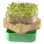 GERMINATOR CU 2 TAVITE - GERMLINE