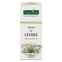 Tinctura de LEURDA - 50ml - PlantExtrakt