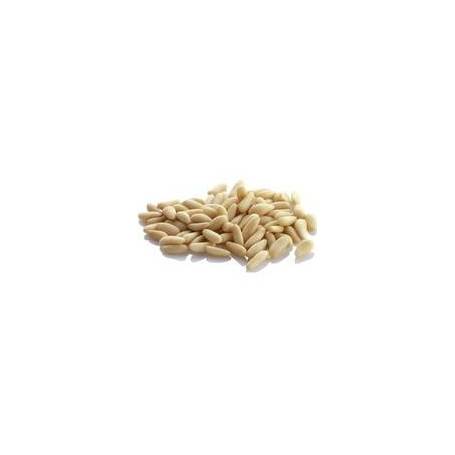 Seminte pin 50g - DECO ITALIA