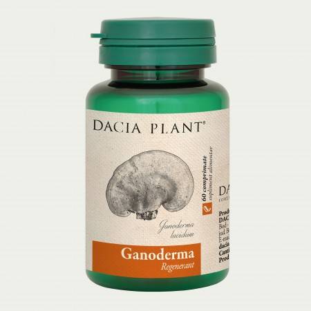 Ganoderma lucidum 405mg 60cp - dacia plant