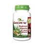 GASCURE TAB, regleaza digestia si balonarea tablete, AYURMED - 60 tablete