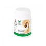 Bilolit, , 60cps - MEDICA