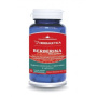 Berberina Bio-Activa, 60cps si 30cps - Herbagetica