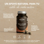 Mico-Cord Cordyceps, 426,6 mg, 70 capsule, Hifas da Terra, Hyperfarm