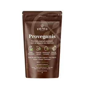 Proveganis pudra proteica vegetala cu ciocolata, 500 g, Faunus Plant