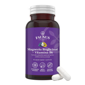 Magneziu Bisglicinat cu vitamina B6, sustine sistemul nervos, 90 capsule, Faunus Plant