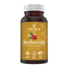Berberina, sustine echilibrul metabolic, 500 mg, 60 capsule, Faunus Plant