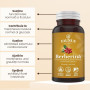 Berberina, sustine echilibrul metabolic, 500 mg, 60 capsule, Faunus Plant