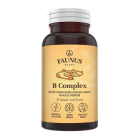 B Complex, sprijin pentru sistem nervos, energie si vitalitate, 30 capsule, Faunus Plant