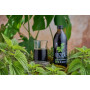 Suc de urzica, eco-bio 500ml - Aronia Charlottenburg