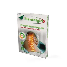 Plasturi cu pelin pentru zona cervicala 6 buc - Henan Kangdi-DBZ
