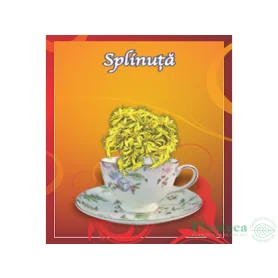 Ceai de Splinuta, 50 g, vrac - CYANI
