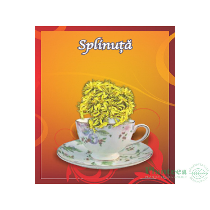 Ceai de Splinuta, 50 g, vrac - CYANI