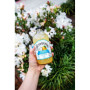 Bautura carbogazoasa cu ananas si cocos, 375 ml - Sano Vita
